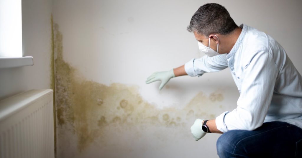 A person wearing gloves and a mask examines large mold and water spots spreading on a large white wall.